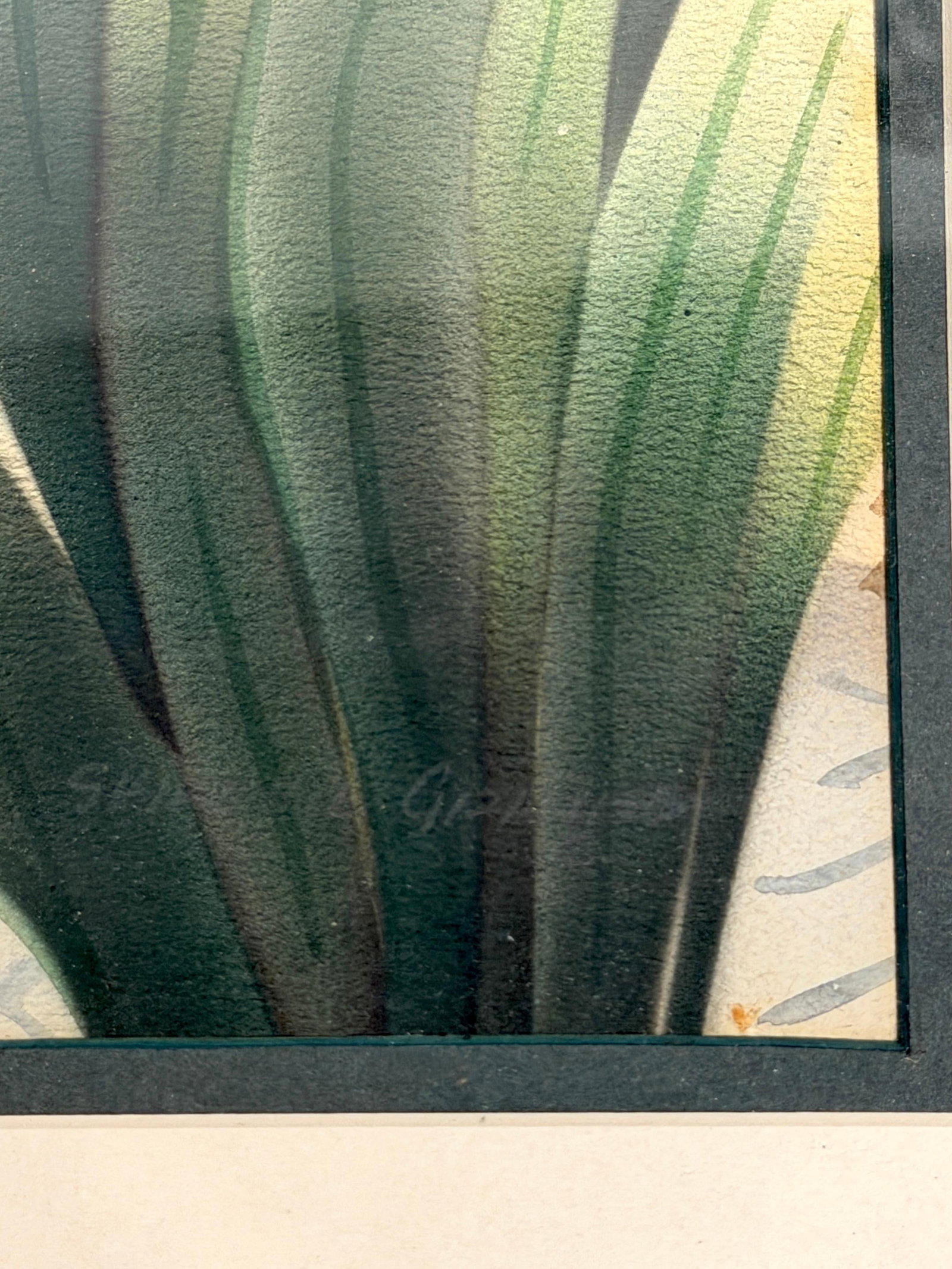 Shirrell Graves Zebra Gouache Pair in Green Frames - 14