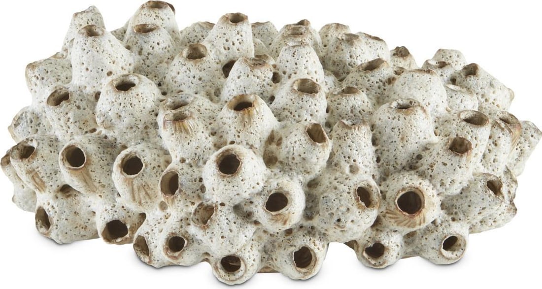 Currey Handmade Sulawasi Shells Ceramic Decor Piece: Currey Handmade Sulawasi Shells Ceramic Decor Piece Discover the exquisite beauty of this Traditional Sulawasi Shells Decor Piece, a stunning handmade ceramic item that embodies Asian modern style. Wi