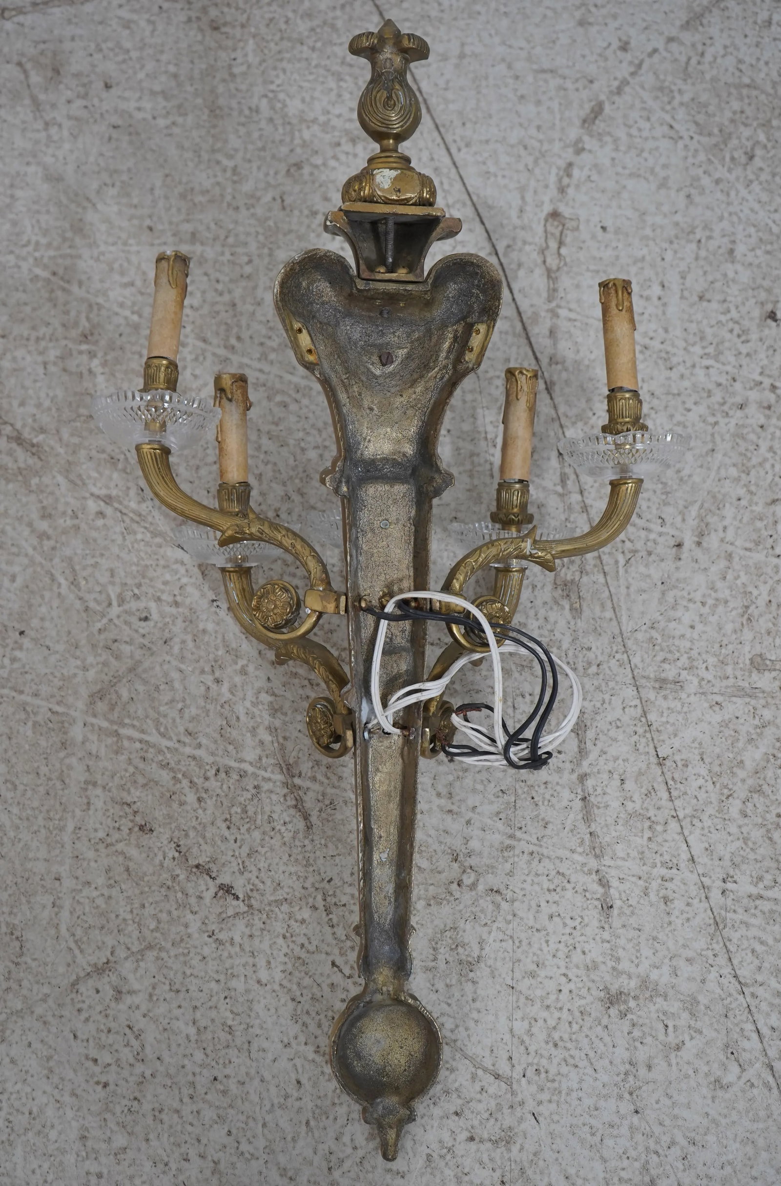 Regency Style Lion Solid Brass 5 Arm Wall Sconces Pair - 9