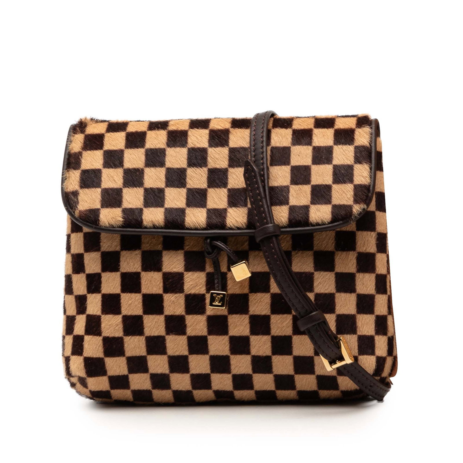 Louis Vuitton Gazelle Damier Sauvage Pony Hair Bag (1 of 9)