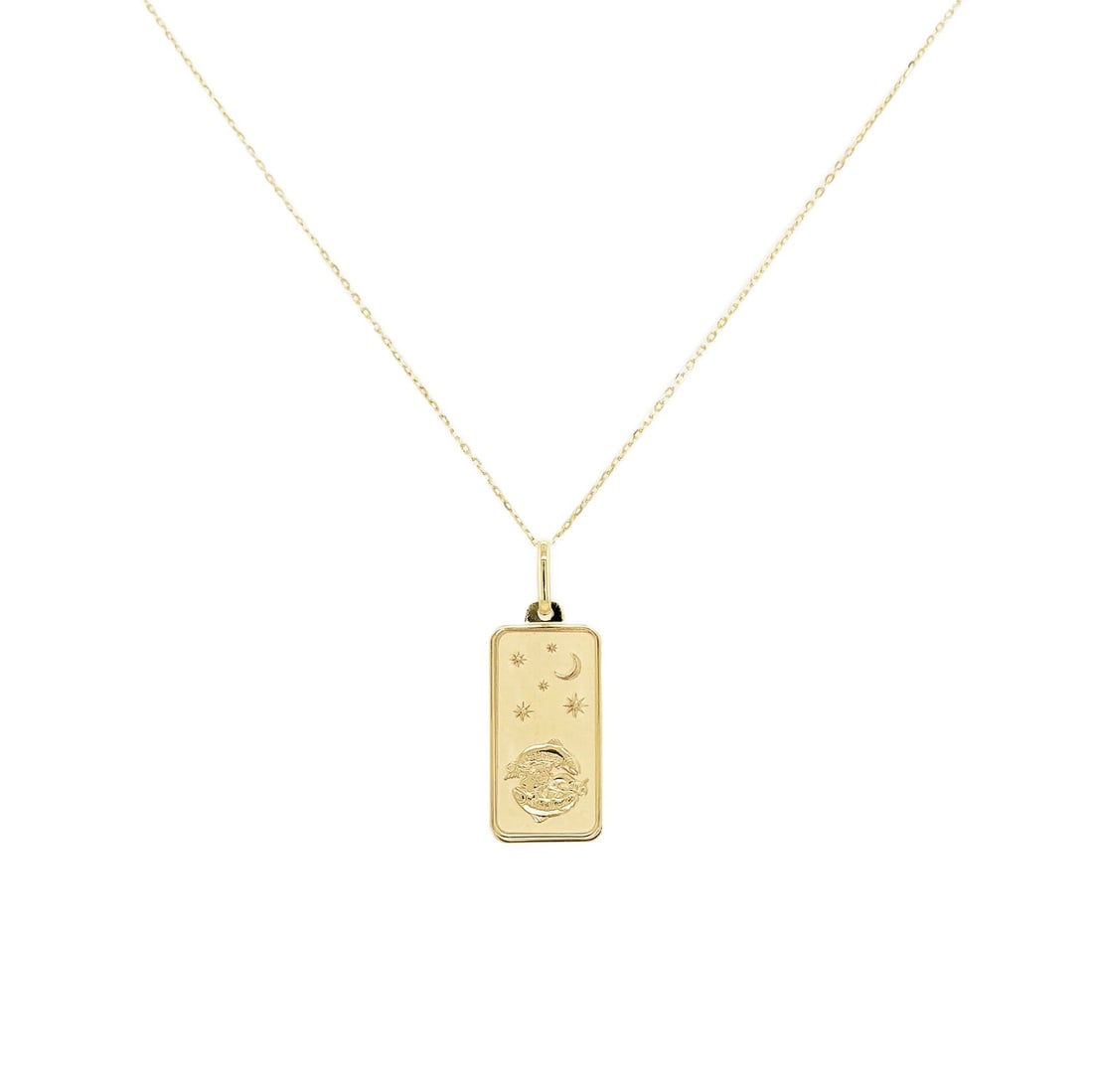Sabrina Designs Co Pisces 14K Yellow Gold Dog Tag Pendant Necklace (1 of 3)