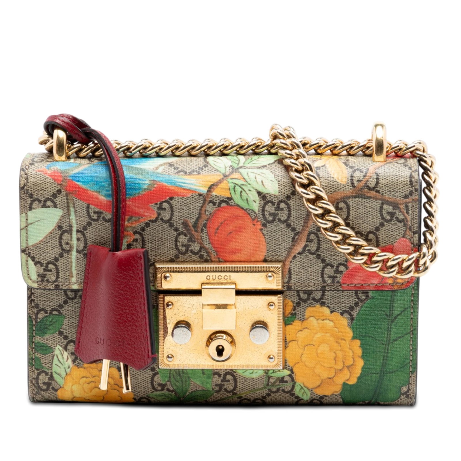 Gucci Tian Padlock Small GG Supreme crossbody bag: Gucci Tian Padlock Small GG Supreme crossbody bag This Gucci Small GG Supreme Tian Padlock Crossbody is crafted from coated canvas and features a chain link strap, a front flap with S-lock closure, an
