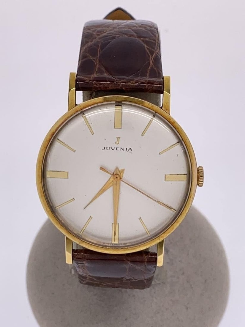 JUVENIA Swiss Mechanical Leather Strap Wristwatch for Men (1 of 5)