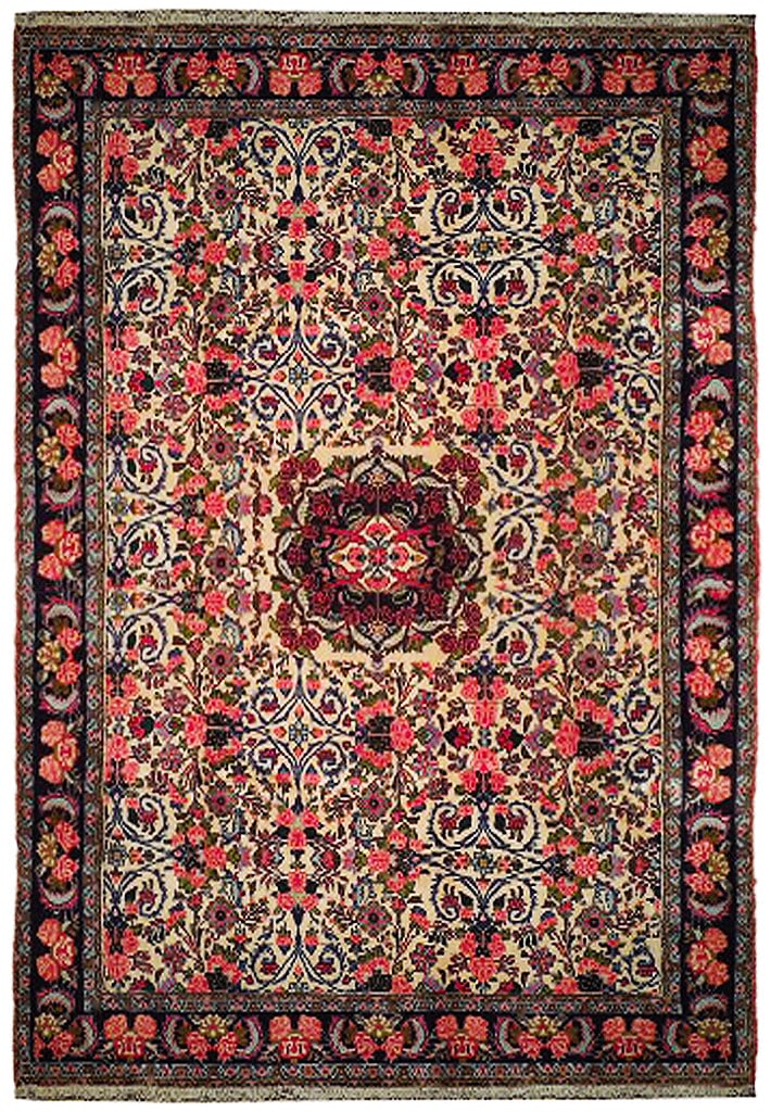 Ivory Fine Persian Floral Bijar Rug 6'6 x 10'4 Handcrafted (1 of 6)