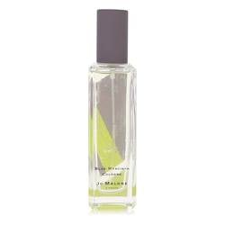 Jo Malone Blue Hyacinth Cologne Spray (Unisex) By Jo Malone: Jo Malone Blue Hyacinth Cologne Spray (Unisex) By Jo Malone Jo Malone Blue Hyacinth Cologne by Jo Malone, This unisex fragrance was created by the house of jo malone with perfumer yann vasnier and rel