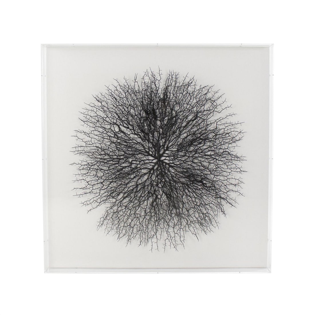 Zentique Abstract Branch Wall Art 35.5x35.5 Glass Linen MDF (1 of 3)