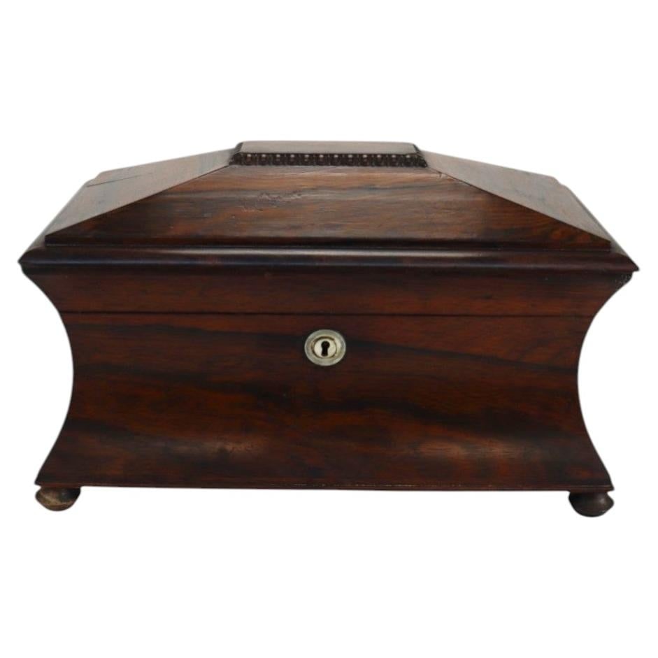 Rosewood English Georgian Tea Caddy c1830 (1 of 12)