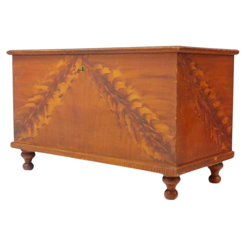 19th Century Softwood Folk Art Blanket Chest Turnip Feet (1 of 16)