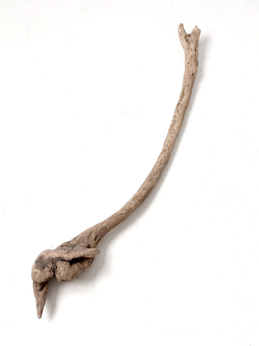Natural Driftwood Sculpture 31.5 inch Organic Modern Accent Piece: Natural Driftwood Sculpture 31.5 inch Organic Modern Accent Piece This captivating Natural Driftwood Display Sculpture showcases a graceful, sculptural curve with a softly weathered surface, beautiful