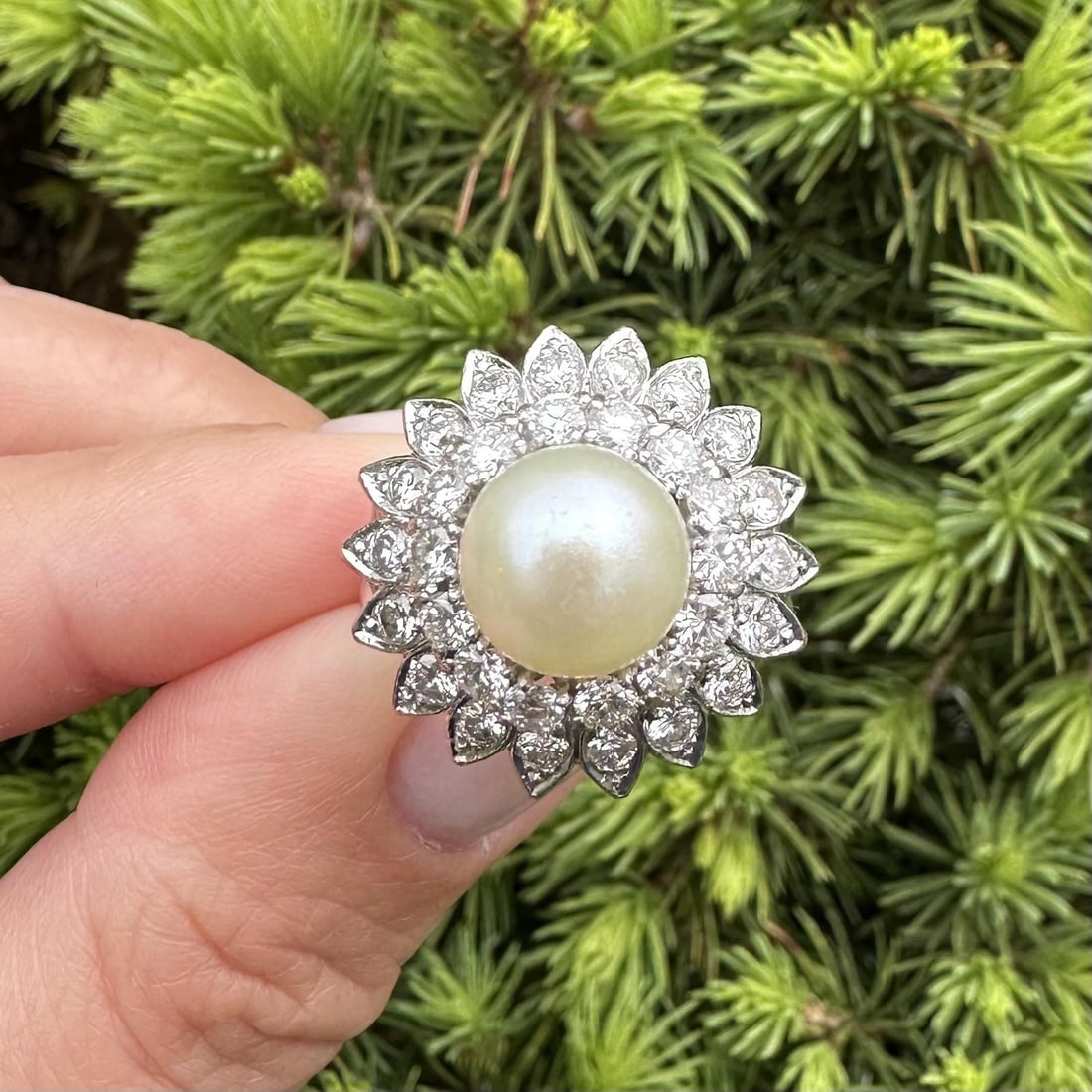 Platinum cocktail ring with pearl and 1.25ctw diamonds size 5.5: Platinum cocktail ring with pearl and 1.25ctw diamonds size 5.5 This vintage mid-century cocktail ring features a striking 9.5mm round cultured pearl with an off-white hue and light yellow overtone, s