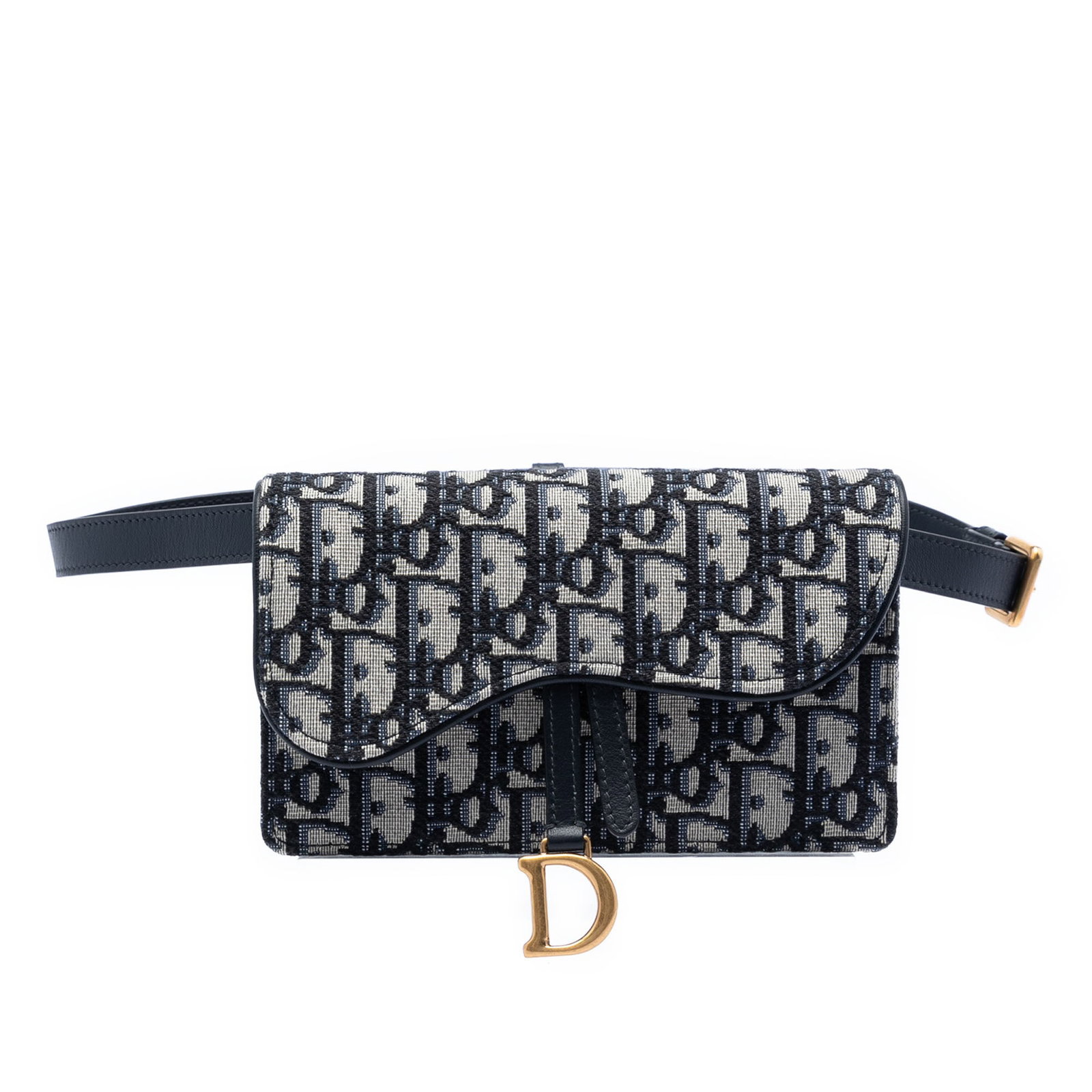 Dior Saddle Belt Bag in Blue Oblique Canvas (1 of 7)