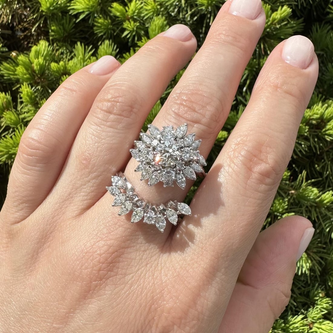 Diamond Cluster Engagement and Curved Guard Ring in Platinum and 14k White Gold 4.15ctw (1 of 18)