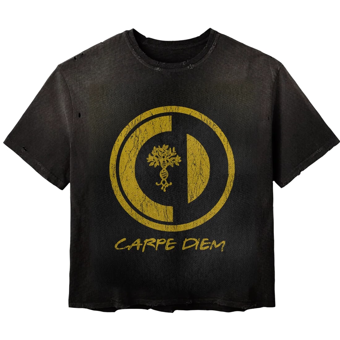 CPD Black T Shirt with Carpe Diem Graphic XXL: CPD Black T Shirt with Carpe Diem Graphic XXL The Carpe Diem CPD Black Tee is crafted from premium cotton and features a bold minimalist design. The shirt displays a striking "Carpe Diem" graphic, mak