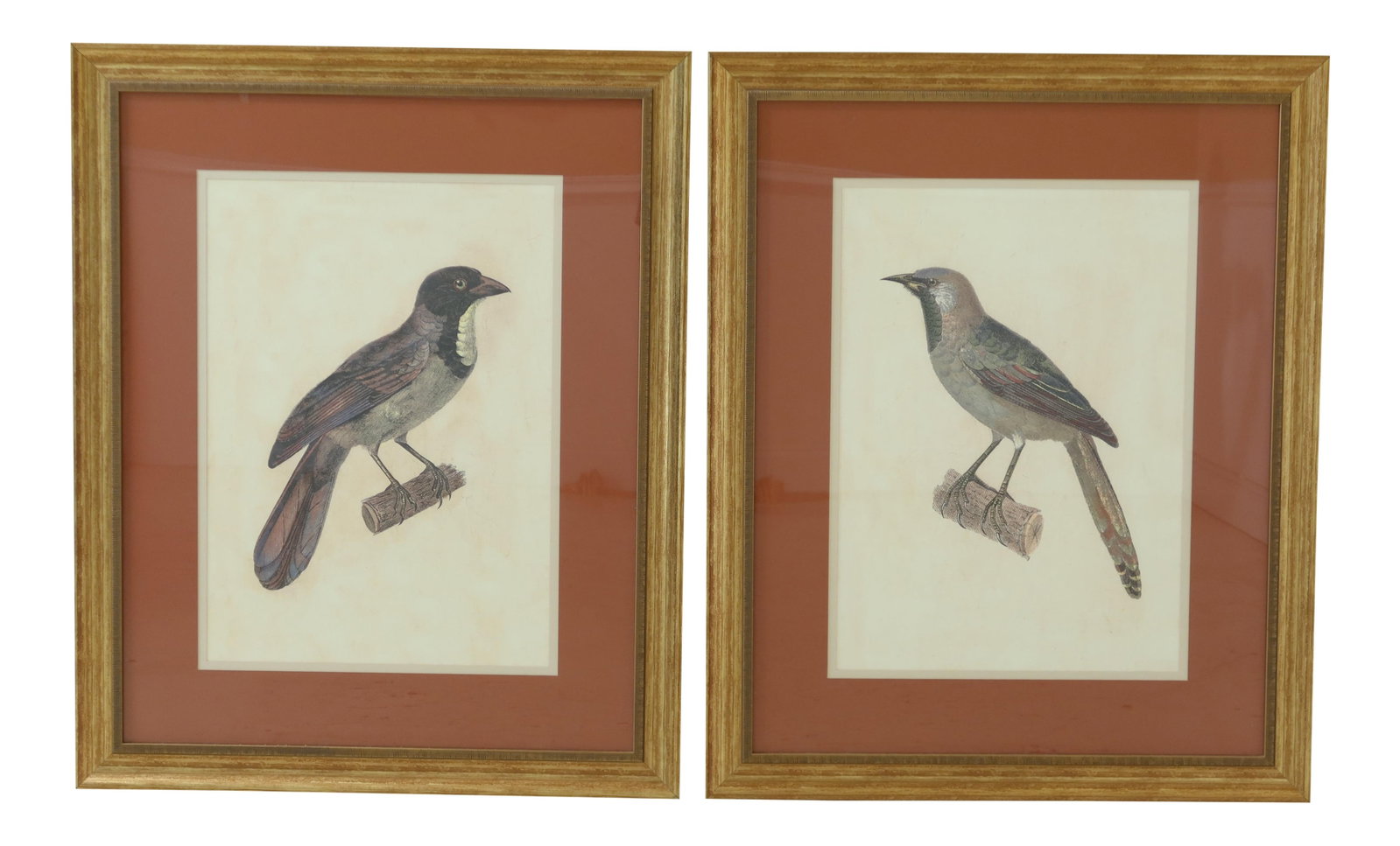 Elegant Pair of Large Framed Gold Bird Prints 35 x 43 (1 of 9)