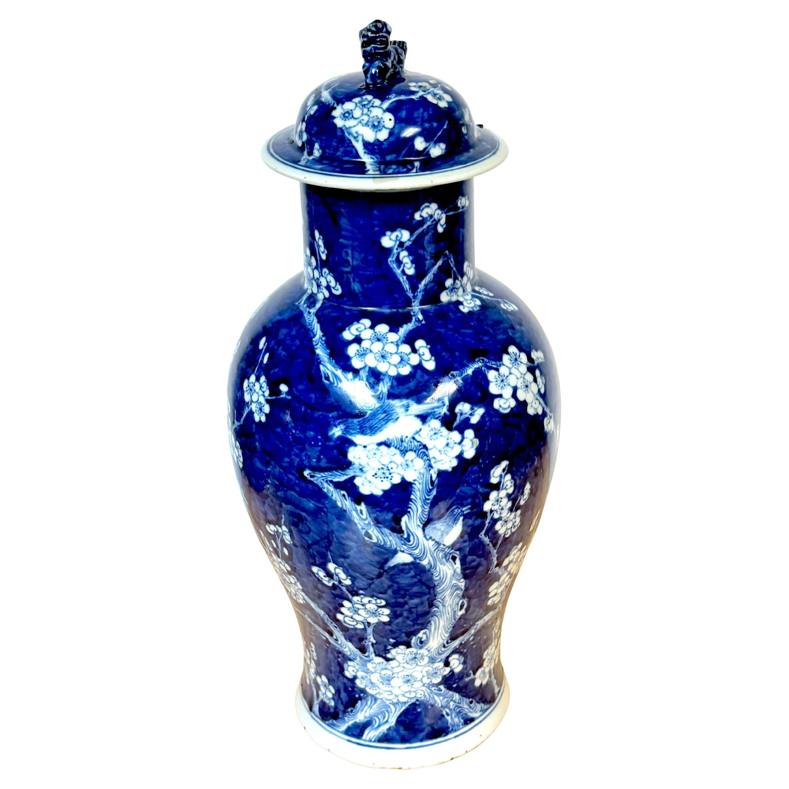 Chinese Blue White Prunus Birds Jar Vase with Foo Dog Lid: Chinese Blue White Prunus Birds Jar Vase with Foo Dog Lid This exquisite Chinese Blue & White 'Prunus' Jar/Vase and Cover dates back to the Early Qing Dynasty, showcasing the traditional craftsmanship