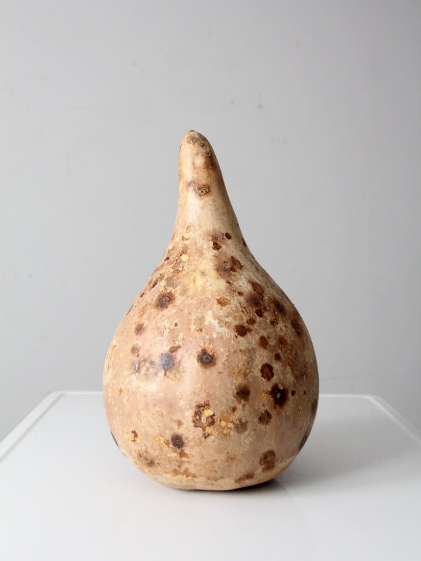 Large Vintage Dried Gourd 10.5 x 10.5 x 17 Inches (1 of 10)