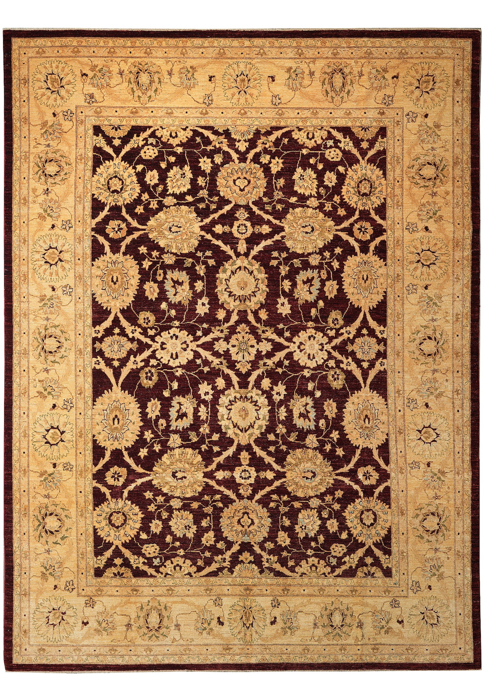 9 x 11.9 Hand-Knotted Zigler Chobi Wool Rug Burgundy Pakistan: 9 x 11.9 Hand-Knotted Zigler Chobi Wool Rug Burgundy Pakistan Free continental US Shipping This is a hand-knotted area rug in a Zigler pattern, made from natural wool with a shiny burgundy tone. It fe