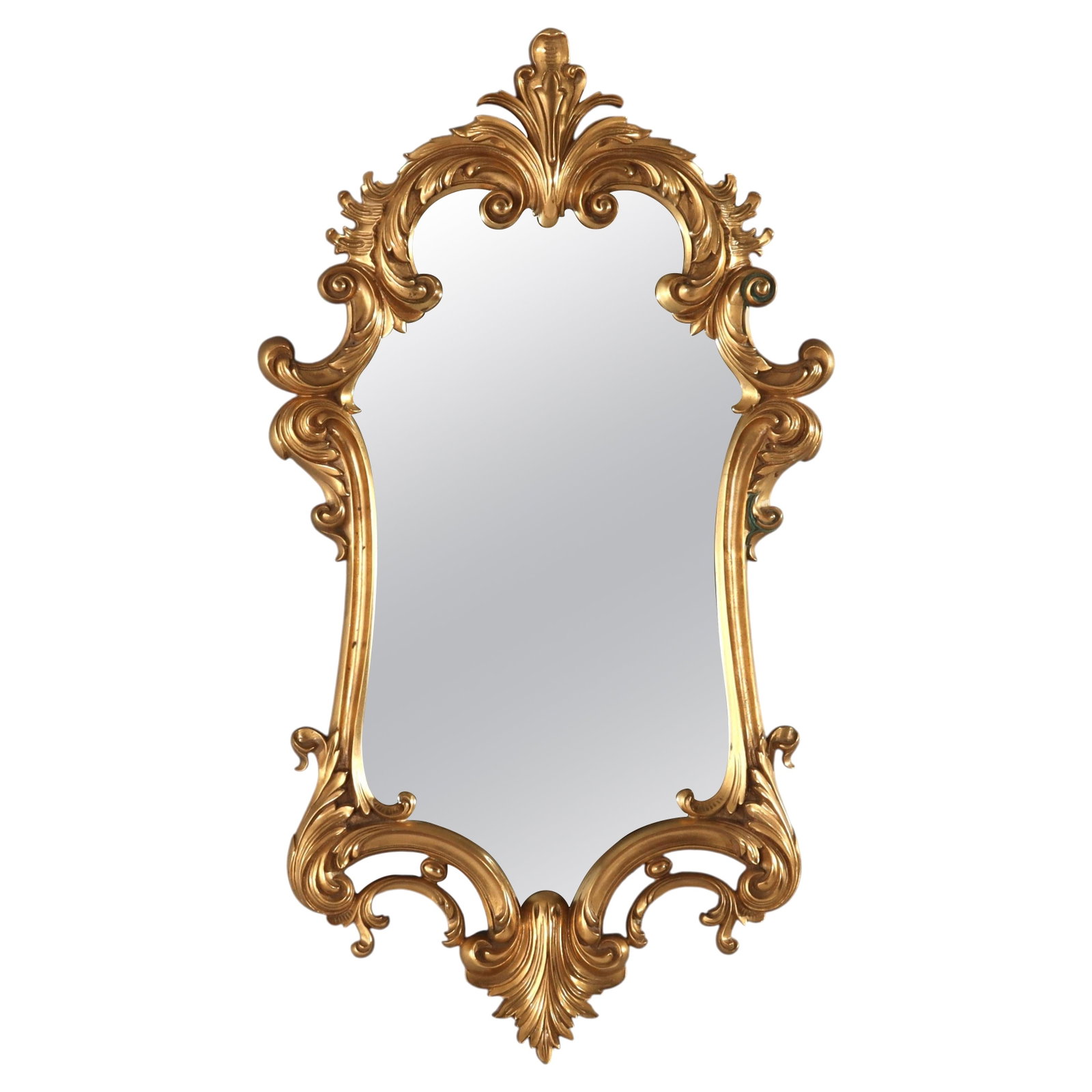 Louis XIV Style Gilt Bronze Wall Mirror with Foliate Motifs Circa 1930 (1 of 10)