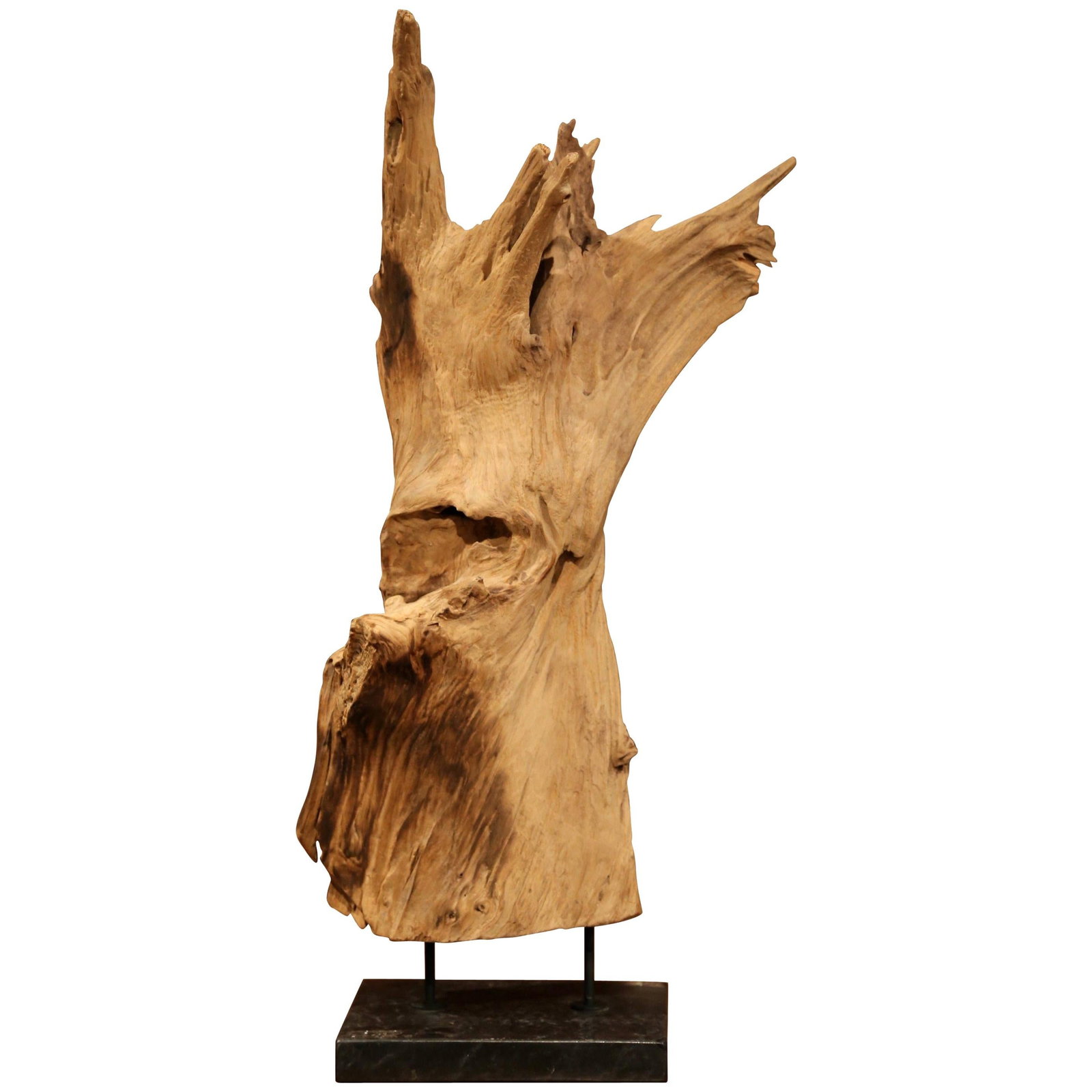Handcrafted Driftwood Sculpture on Dark Green Marble Base: Handcrafted Driftwood Sculpture on Dark Green Marble Base This contemporary sculpture showcases a stunning piece of natural driftwood, skillfully crafted from a single reclaimed ficus tree root. It is