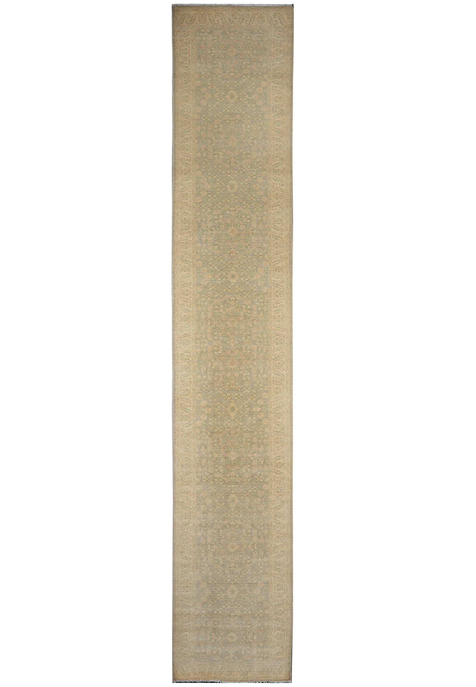 Pakistan Hand Knotted Zigler Runner Rug 31 in x 212 in Natural Wool: Pakistan Hand Knotted Zigler Runner Rug 31 in x 212 in Natural Wool Free continental US Shipping Hand-knotted area rug runner made from natural wool with a Zigler pattern. It features light green, bei