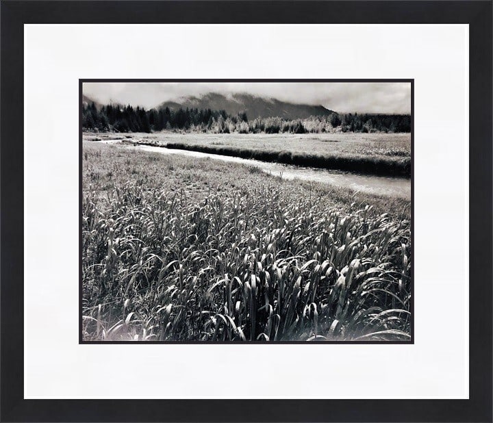 Ansel Adams Rain Beartrack Cove Framed Print 16x18 Modernism Art: Ansel Adams Rain Beartrack Cove Framed Print 16x18 Modernism Art This stunning custom framed print features Ansel Adams' iconic artwork titled "Rain Beartrack Cove Glacer Bay Park AK." Created in 1980