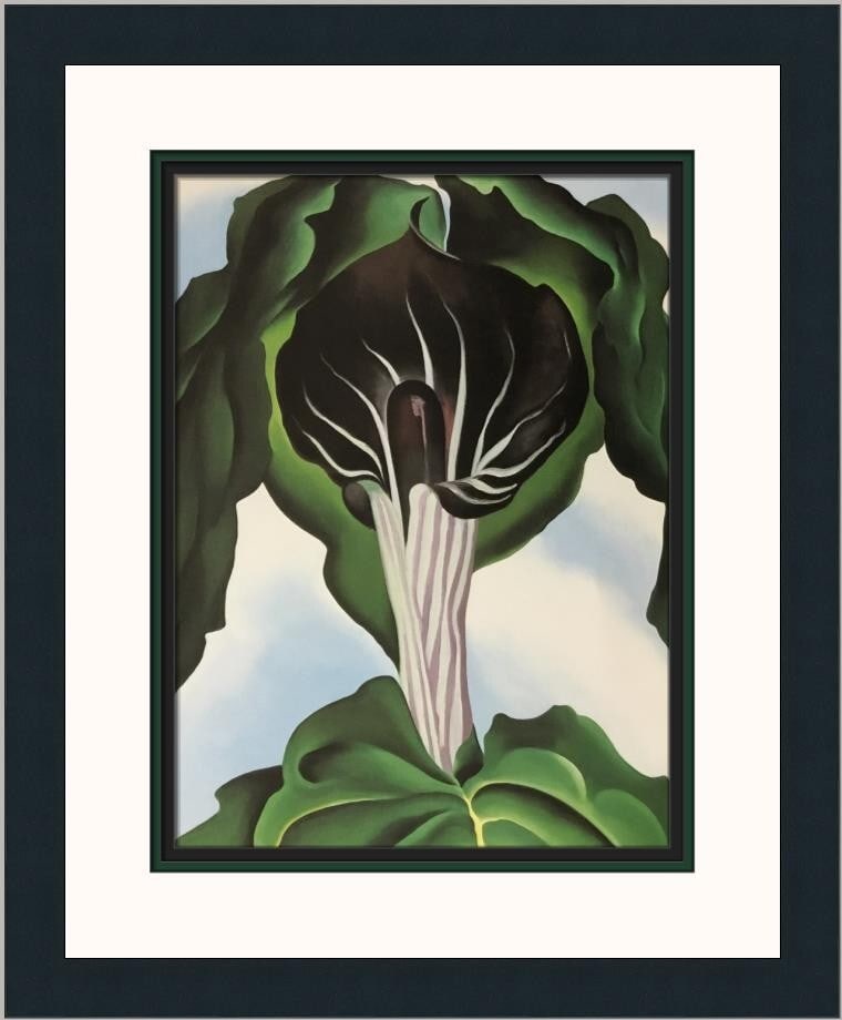 Georgia O'Keeffe Jack In The Pulpit No.3 Custom Framed Print 20x18: Georgia O'Keeffe Jack In The Pulpit No.3 Custom Framed Print 20x18 This custom framed print features Georgia O'Keeffe's "Jack In The Pulpit No.3," a stunning example of Abstract Modernism. Measuring 2