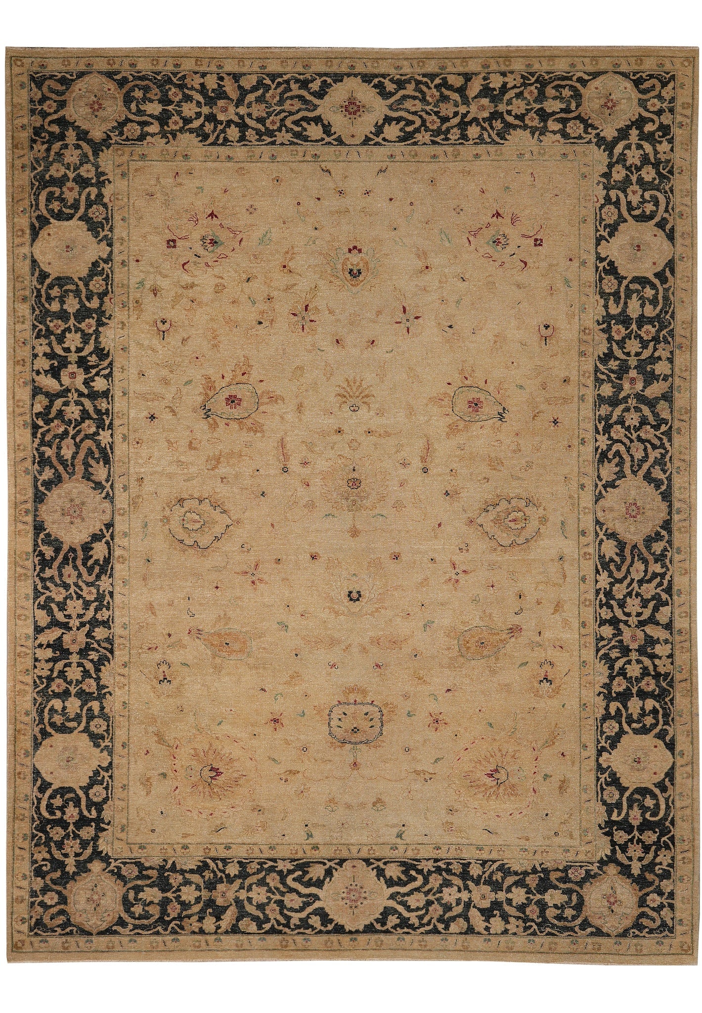 9 x 11.7 Handmade Agra Transitional Wool Rug: 9 x 11.7 Handmade Agra Transitional Wool Rug Free continental US Shipping This 9 x 11.7 Transitional Handmade Agra Rug blends traditional Agra craftsmanship with a modern transitional design. It is ha