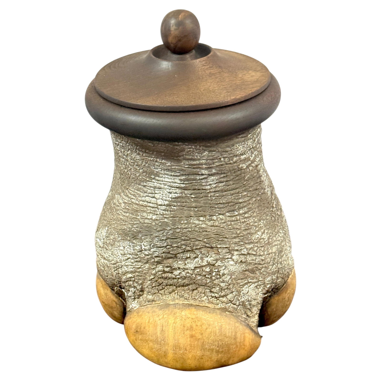 Late 20th Century Faux Elephant Foot Humidor with Carved Hardwood Lid (1 of 10)