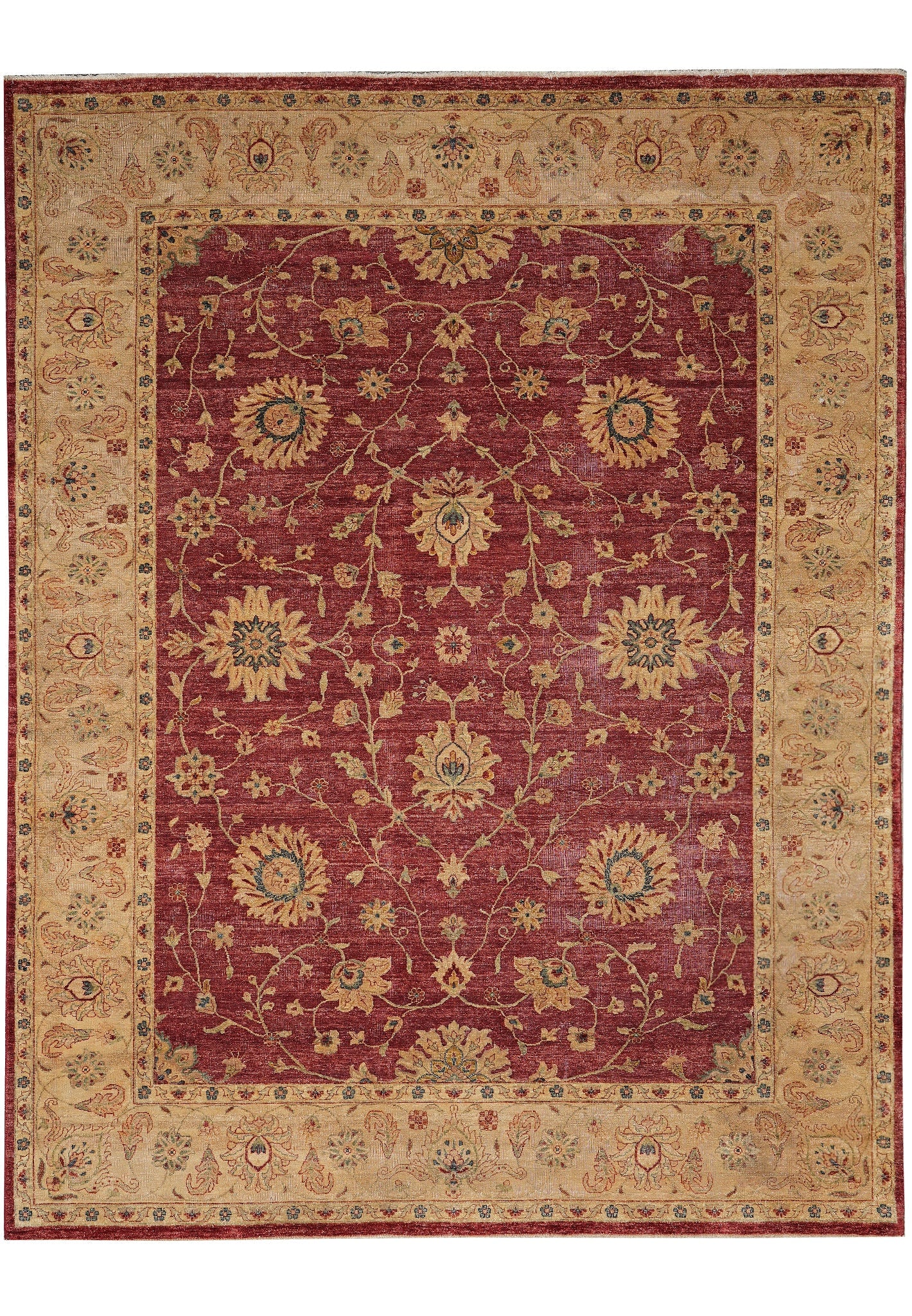 8.9 x 11.4 Hand Knotted Natural Ghazni Wool Chobi Peshawar Rug: 8.9 x 11.4 Hand Knotted Natural Ghazni Wool Chobi Peshawar Rug Free continental US Shipping This is a quality natural Ghazni wool Chobi Peshawar rug measuring 8.9 x 11.4. It features traditional hand-