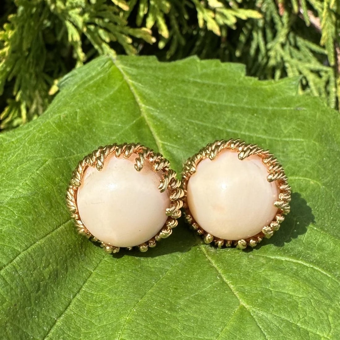Unbranded Angel Skin Coral Clip On Earrings in 18k Yellow Gold: Unbranded Angel Skin Coral Clip On Earrings in 18k Yellow Gold Vintage clip-on earrings featuring angel skin coral cabochons set in solid 18k yellow gold with twisted wire cupped detailing. Designed f