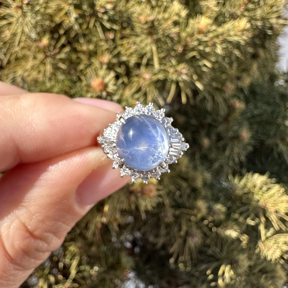Platinum Cocktail Ring With GIA Ceylon Blue Star Sapphire And Diamonds: Platinum Cocktail Ring With GIA Ceylon Blue Star Sapphire And Diamonds This platinum cocktail ring features a natural, unheated Ceylon blue star sapphire weighing 7.99ct, certified by GIA and displayi