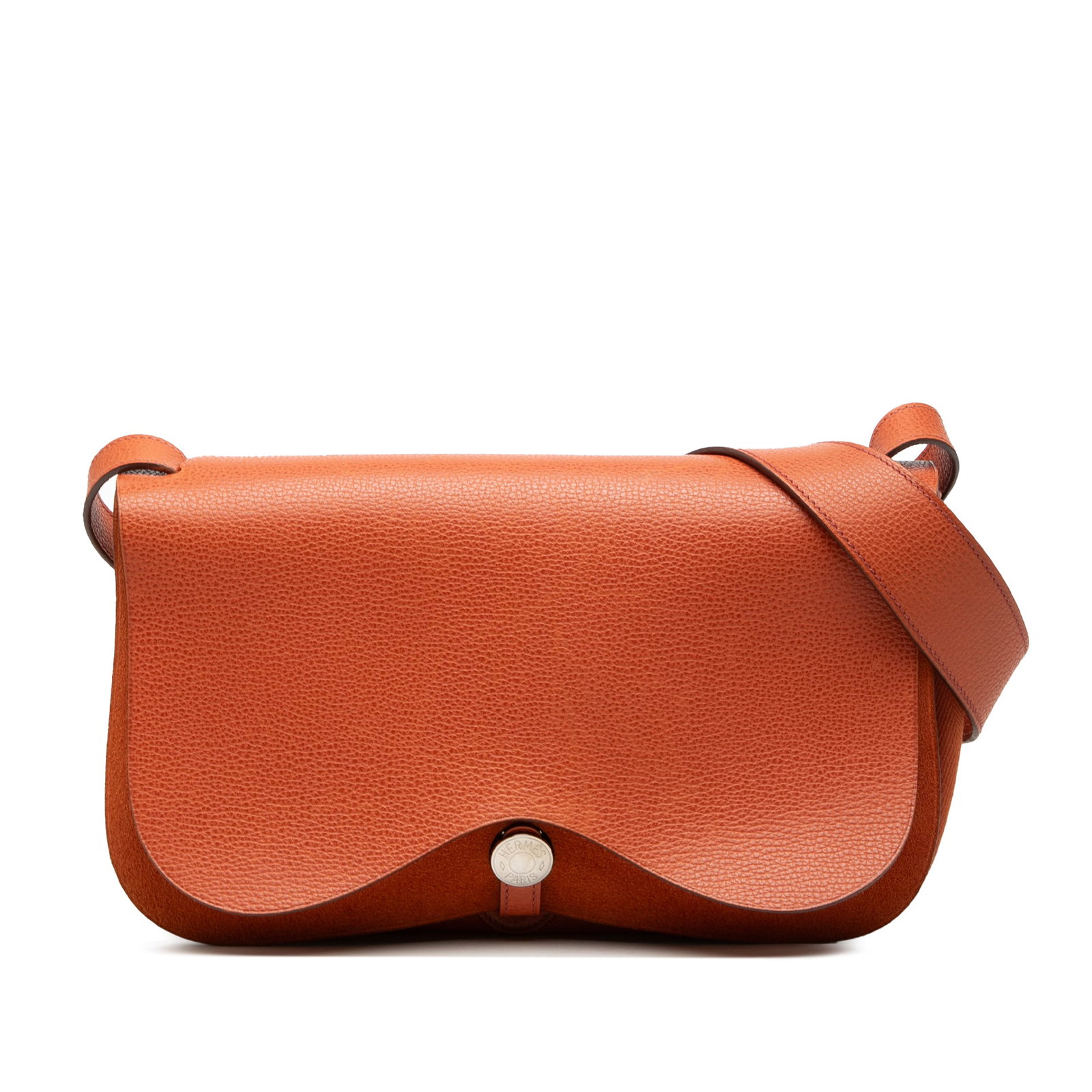 Hermes Colorado PM shoulder bag in Vache Liegee and Toile (1 of 7)