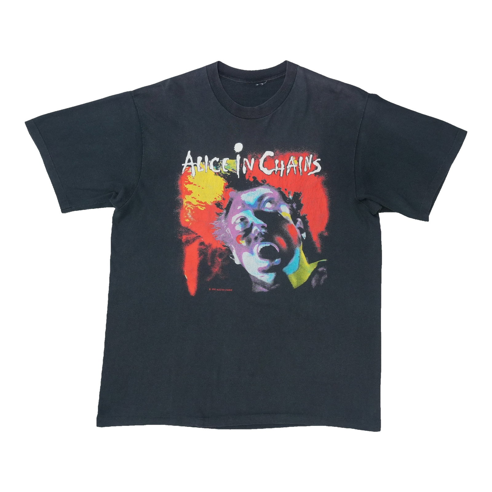 Vintage Alice In Chains Facelift Concert T Shirt 1990 (1 of 4)