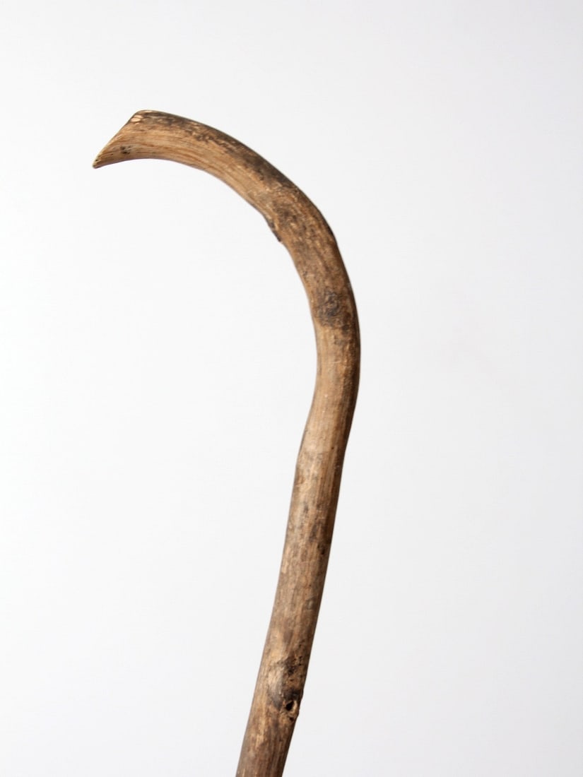 Primitive bentwood walking stick with crook handle 36 inch (1 of 7)