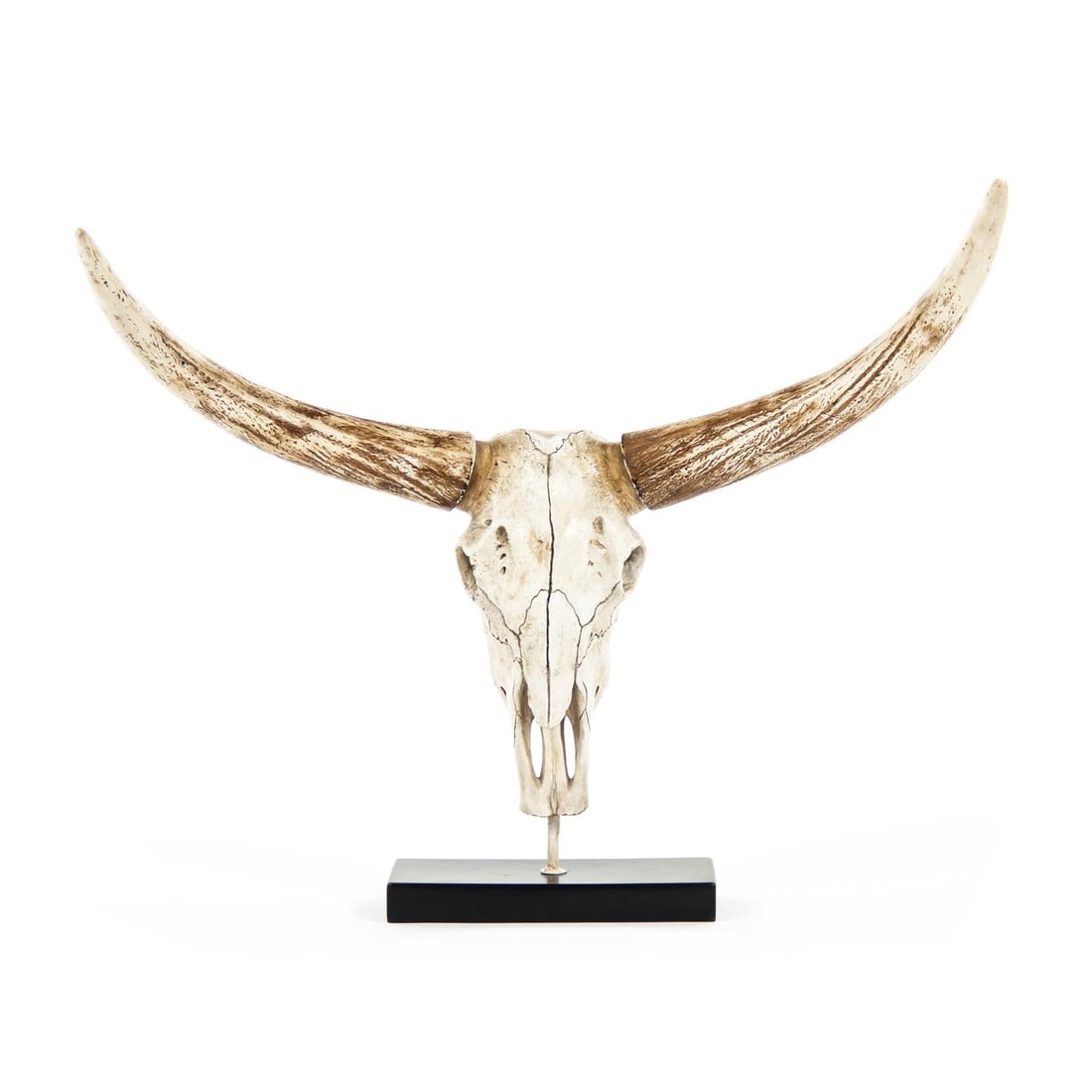 Zentique Elegant Bull Skull Wall Art Poly Resin Rustic Decor (1 of 3)