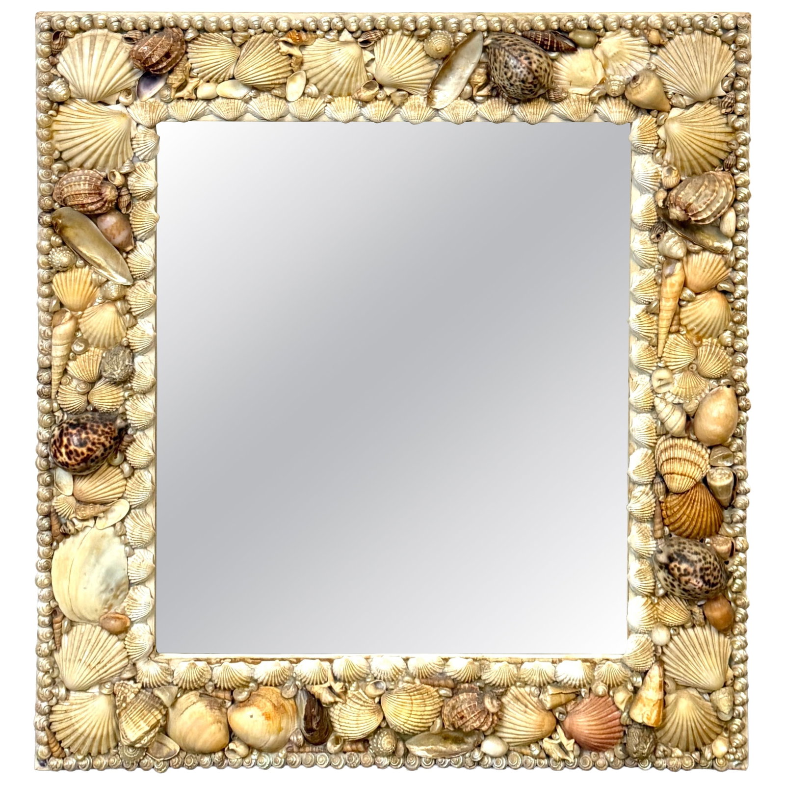 Shell Encrusted Wall Mirror with Tiger Cowries 1960s Coastal Bohemian (1 of 14)