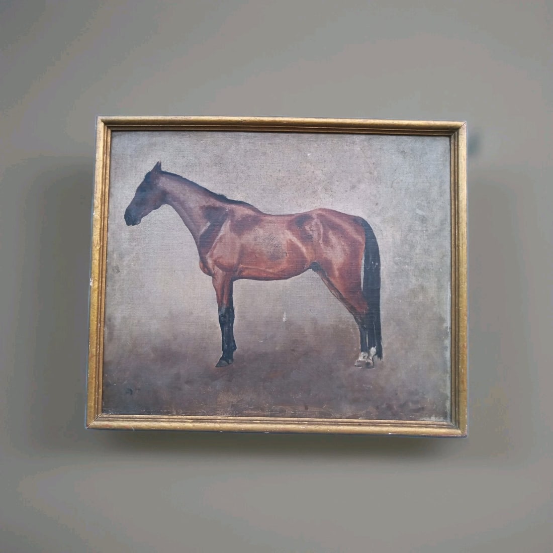 Framed Bay Horse Portrait Oil Painting circa 1883 Charles Haight New Jersey: Framed Bay Horse Portrait Oil Painting circa 1883 Charles Haight New Jersey Original oil painting on canvas board depicting a bay horse associated with Charles Haight of New Jersey. The work is presen