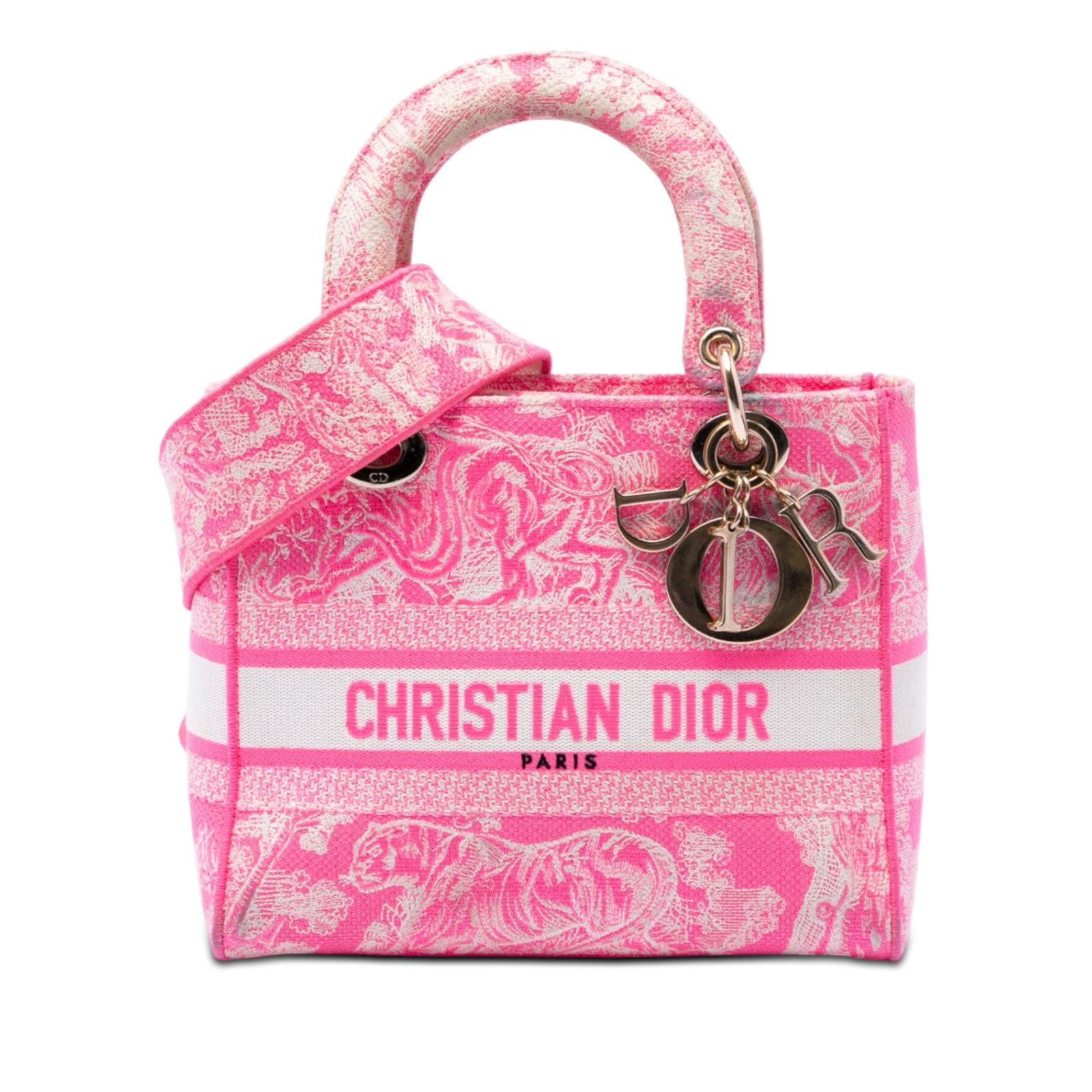 Dior Lady D Lite Medium Toile de Jouy Embroidered Canvas Bag (1 of 6)
