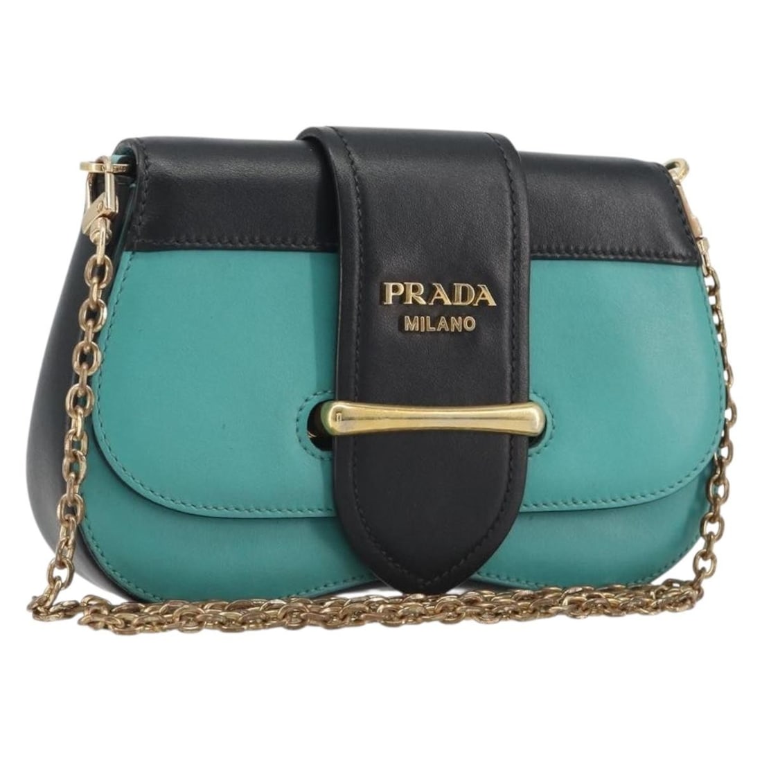 PRADA Sydney Leather Shoulder Bag Green with aftermarket chain strap (1 of 18)