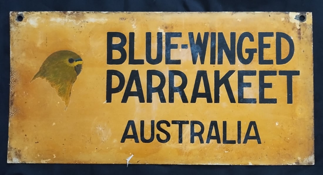 Hand Painted Blue-winged Parrakeet Budgie Advertising Sign 7x14" (1 of 7)