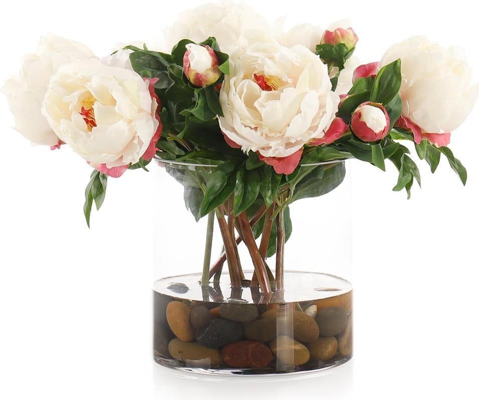 John-Richard Shirley Temple Vintage Style Display Keepsake 15H x 18W x 18D: John-Richard Shirley Temple Vintage Style Display Keepsake 15H x 18W x 18D Introducing a vintage-style display keepsake inspired by the timeless charm of Shirley Temple. This beautifully crafted piece