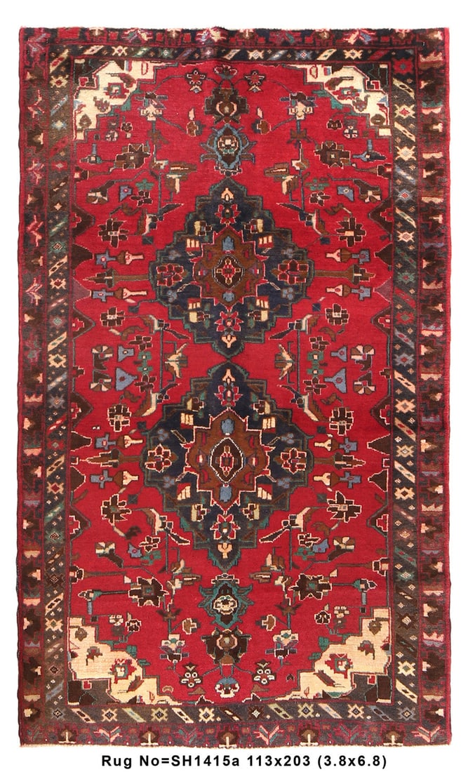 4' x 7' Shiraz Baluch Tribal Rug Handwoven Wool (1 of 8)