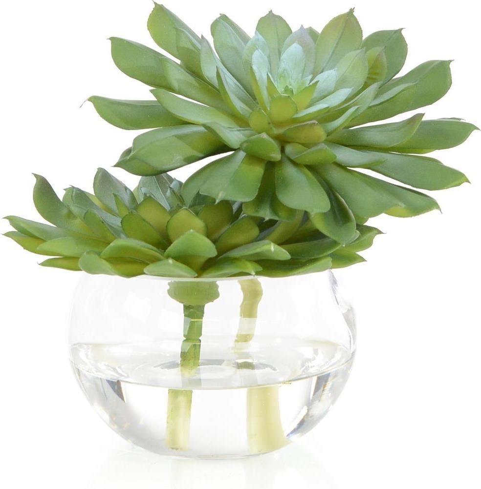John-Richard Traditional Double Succulent Display 6H 9W 7D (1 of 1)