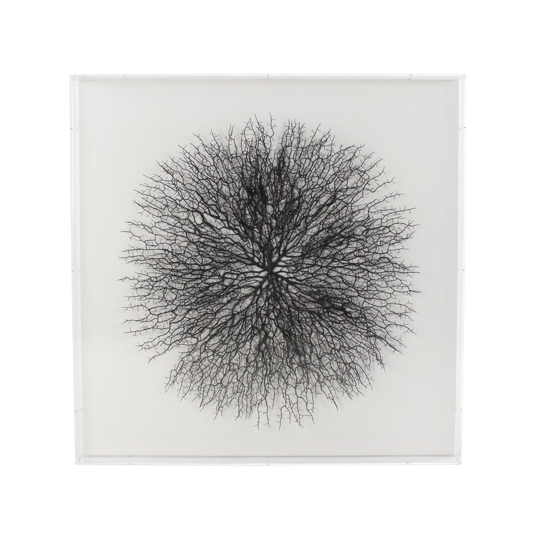 Zentique Abstract Branch Wall Art 35.5x35.5 Glass Linen MDF: Zentique Abstract Branch Wall Art 35.5x35.5 Glass Linen MDF Enhance your living space with this Elegant Abstract Branch Wall Decor, a striking piece of wall art that adds a contemporary touch to any r
