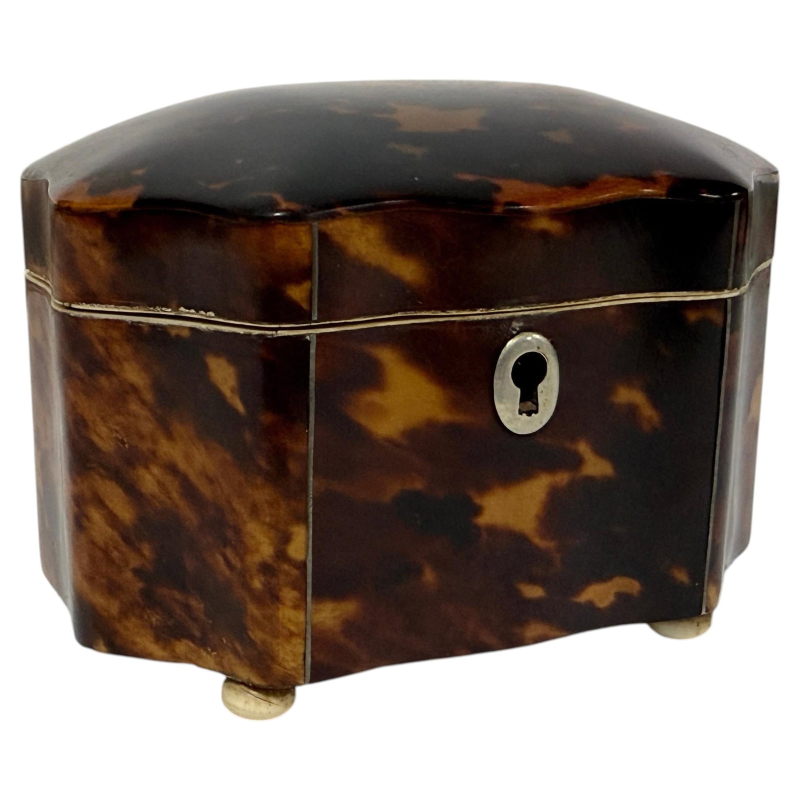 Circa 1820 Dutch Regency Tea Caddy in Tortoiseshell Bone and Silver (1 of 10)