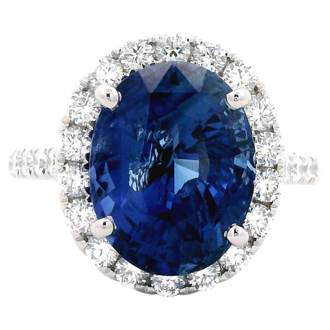 18k White Gold 7.31ct Ceylon Sapphire Diamond Ring (1 of 4)