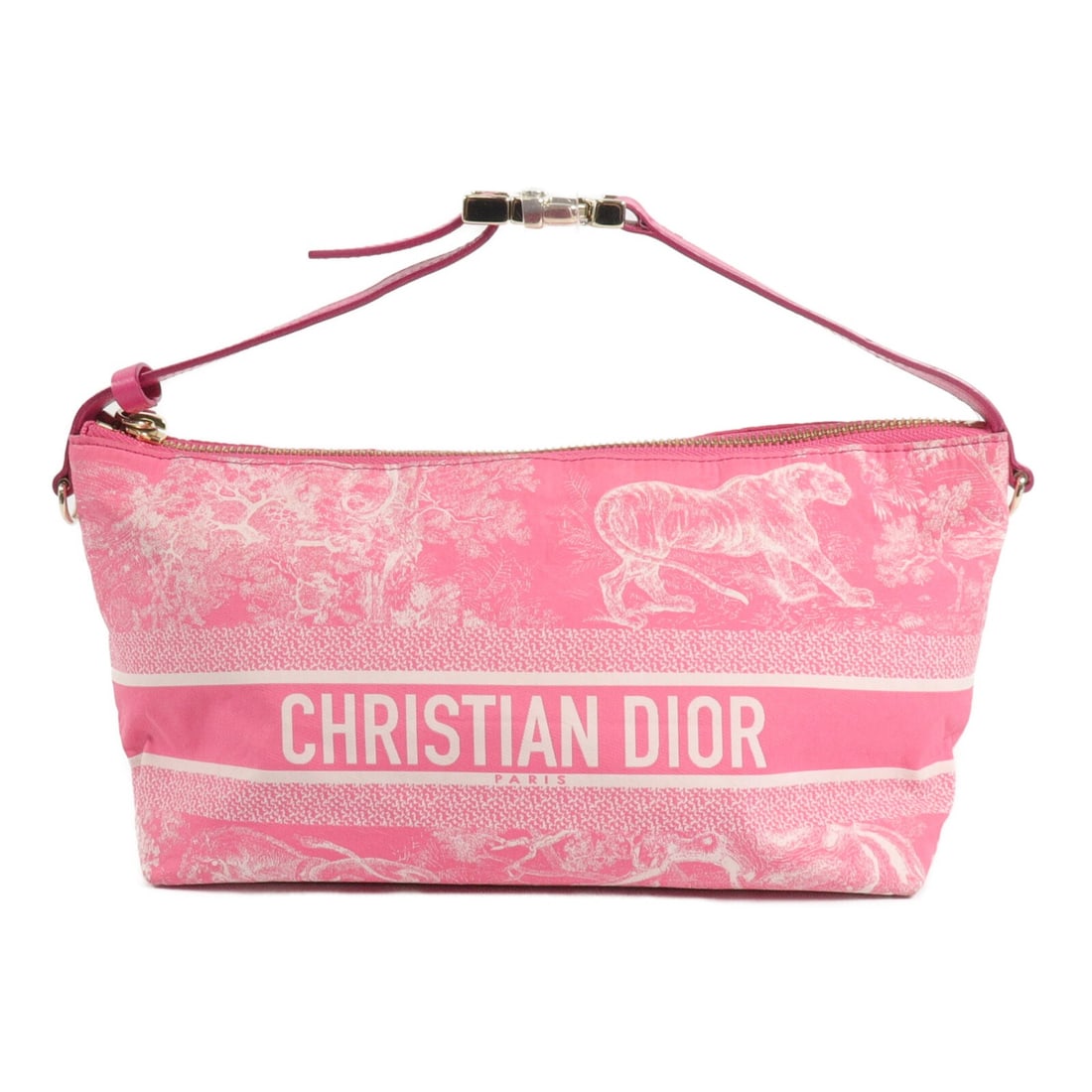Dior S5554ONTJ Nomad Pouch Handbag in Pink Technical Canvas (1 of 15)