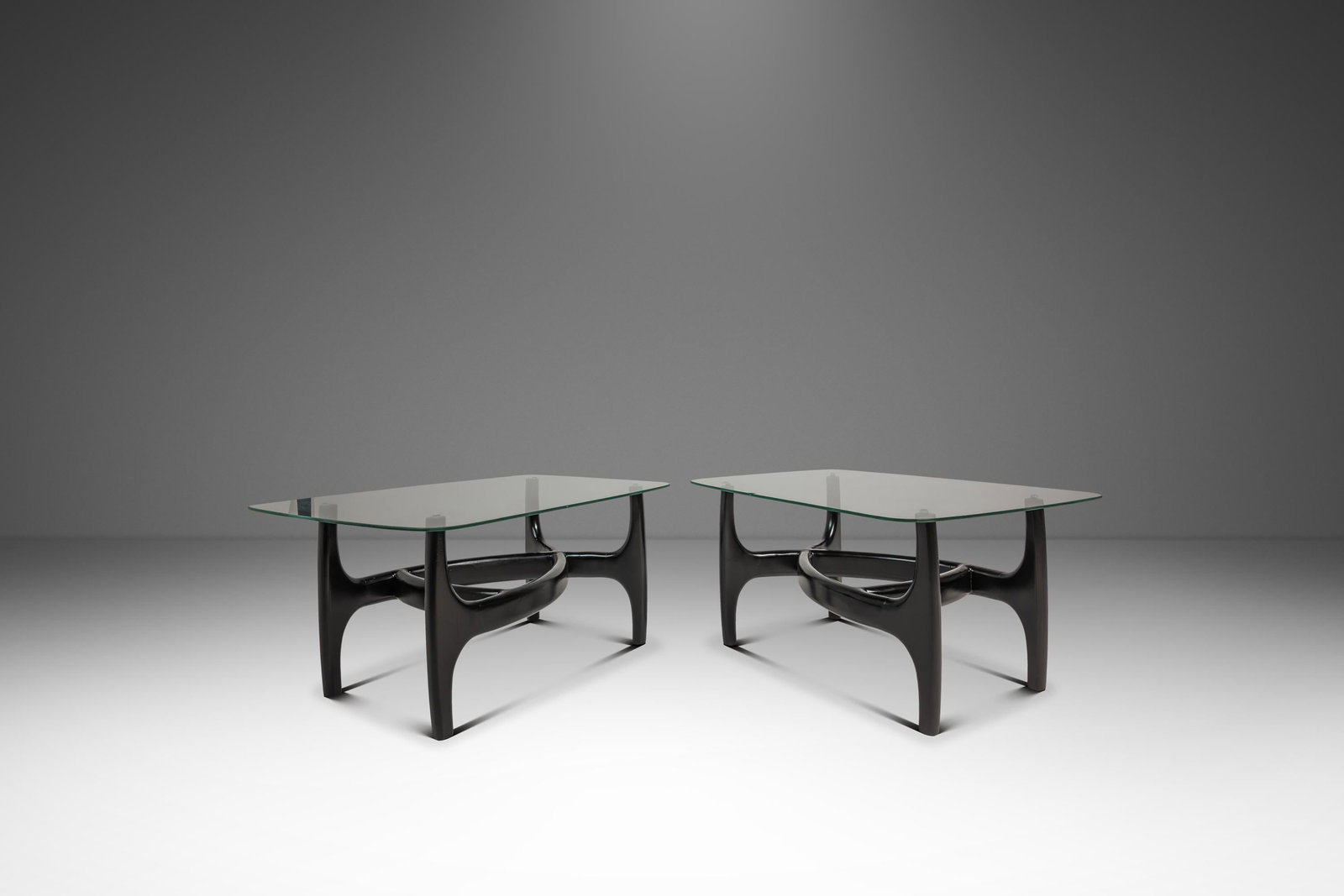 Pair of Biomorphic Ebony Glass End Tables After Adrian Pearsall (1 of 18)