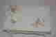 item-72786472=3