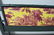 George III Style Head Board - 4
